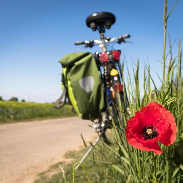 Ecosistema Urbano 2023: quali sono le città più green d’Italia? Sorprese e conferme