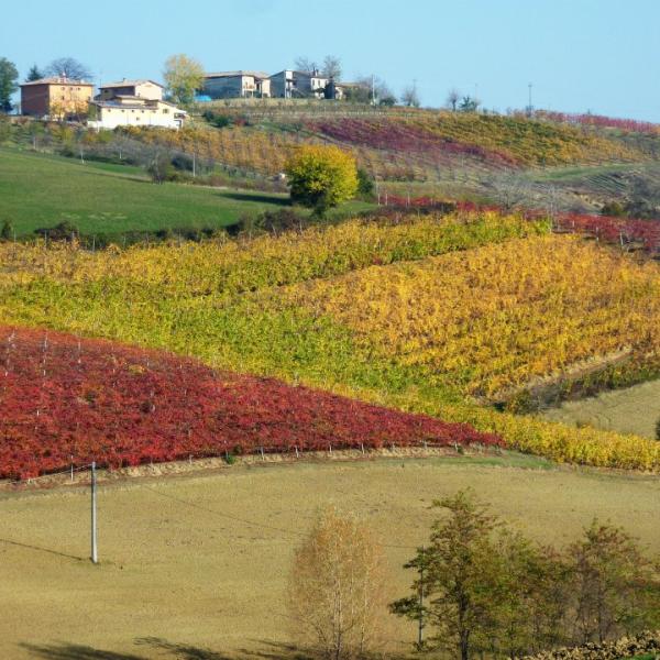 Italia, il maltempo distrugge le campagne: l’allarme di Coldiretti