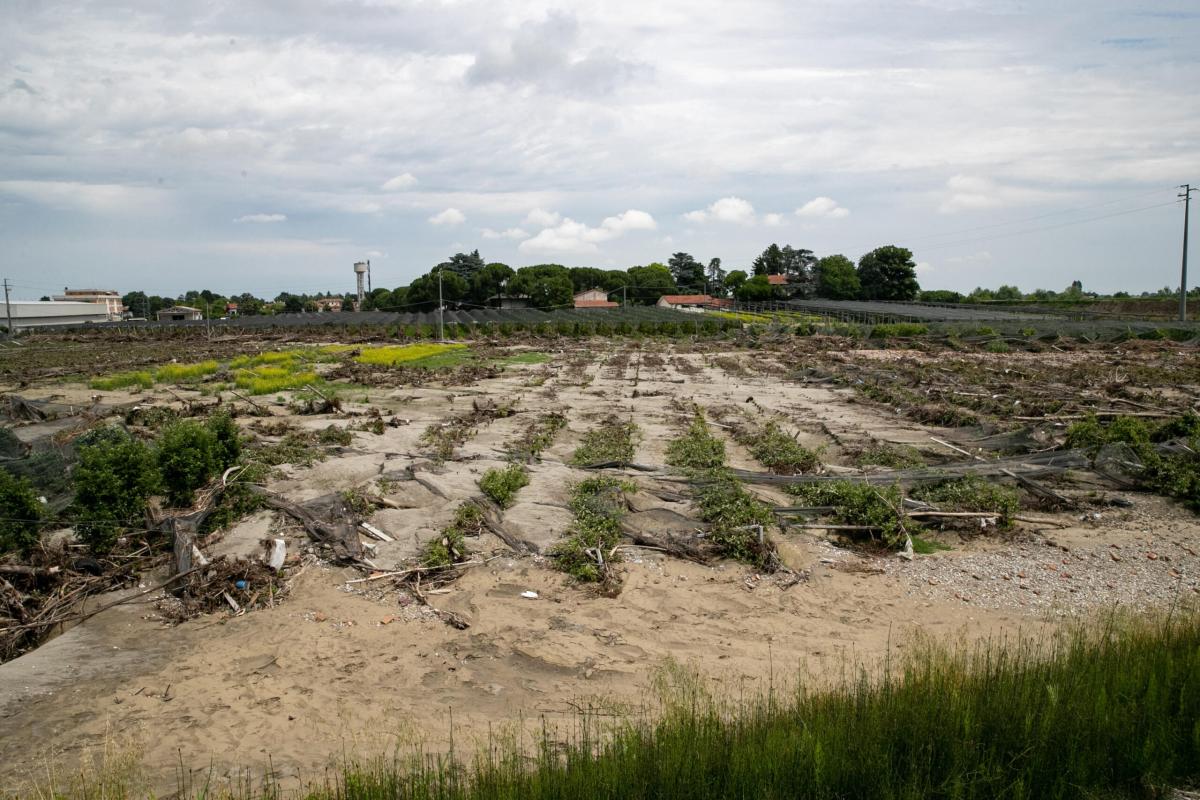 Alluvione Emilia-Romagna, agricoltore attende aiuti: “Neanche un eu…