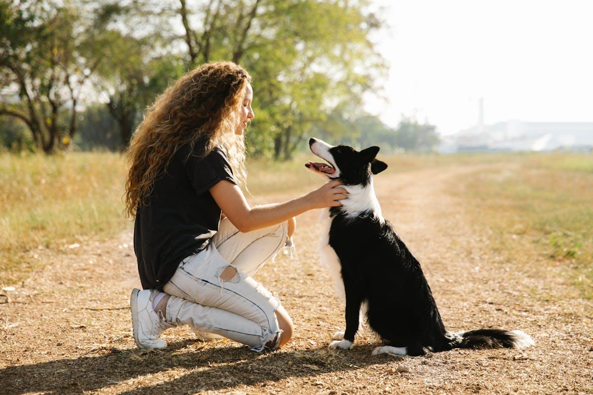 Si possono tenere i cani senza guinzaglio negli spazi comuni condominiali?