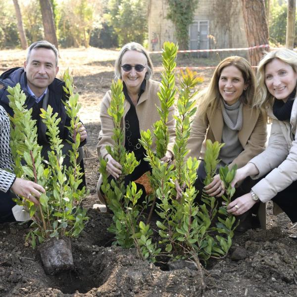 Ambiente: inquinamento, al via il progetto Airfresh per la riforestazione urbana