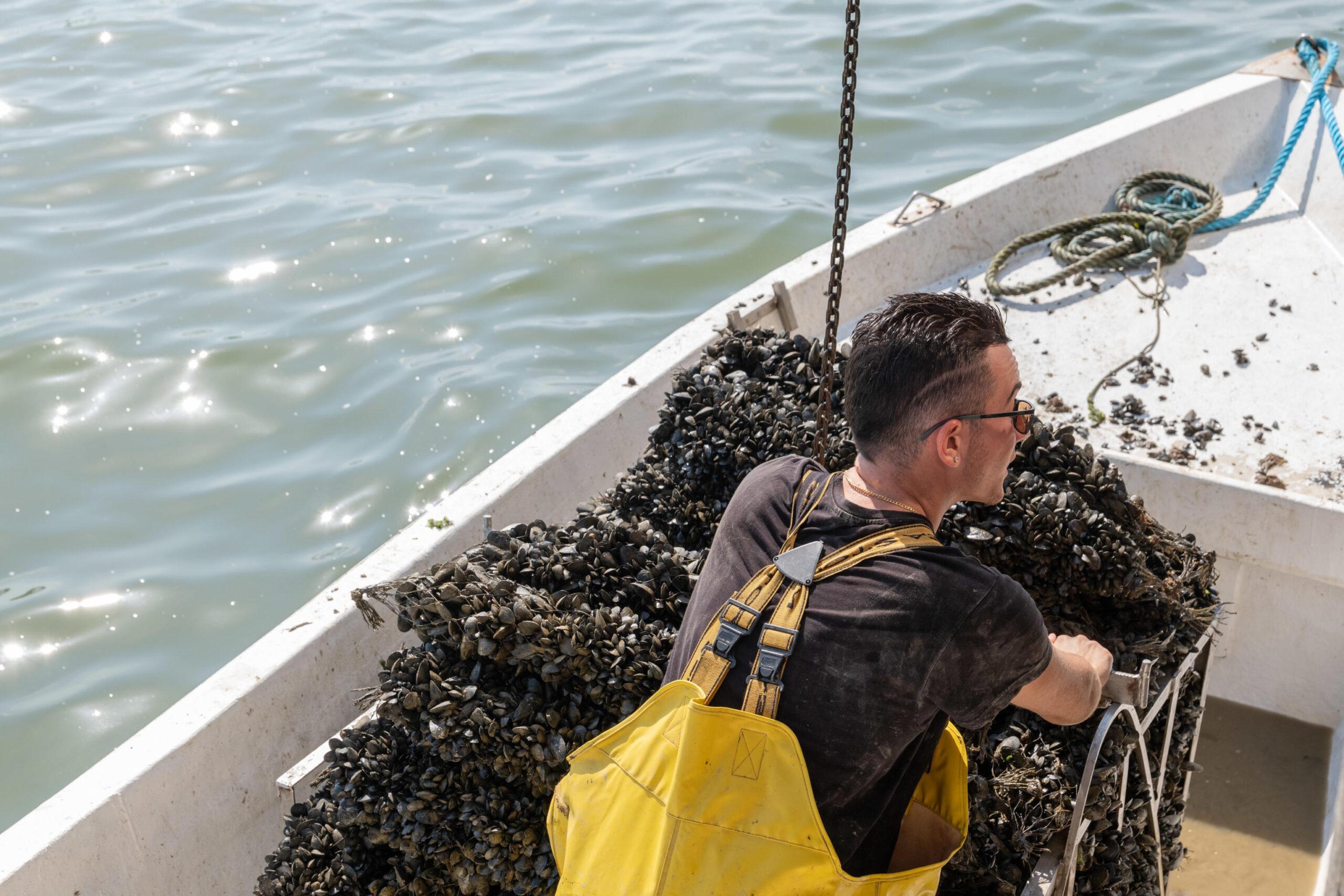 Fermo pesca 2022: autorizzato il pagamento dell’indennità agli aventi diritto