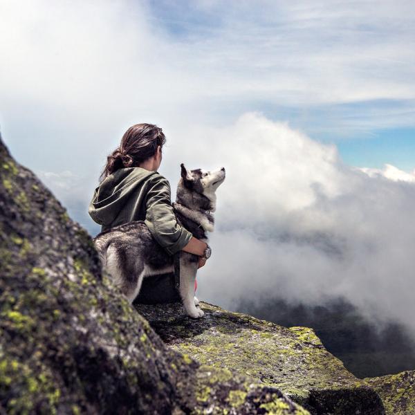 Posso portare il mio cane in montagna? Errori da evitare in alta quota