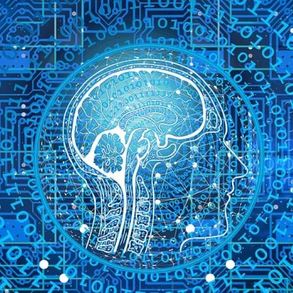 Ridurre lo spreco alimentare grazie all’intelligenza artificiale: soluzioni innovative per un futuro sostenibile