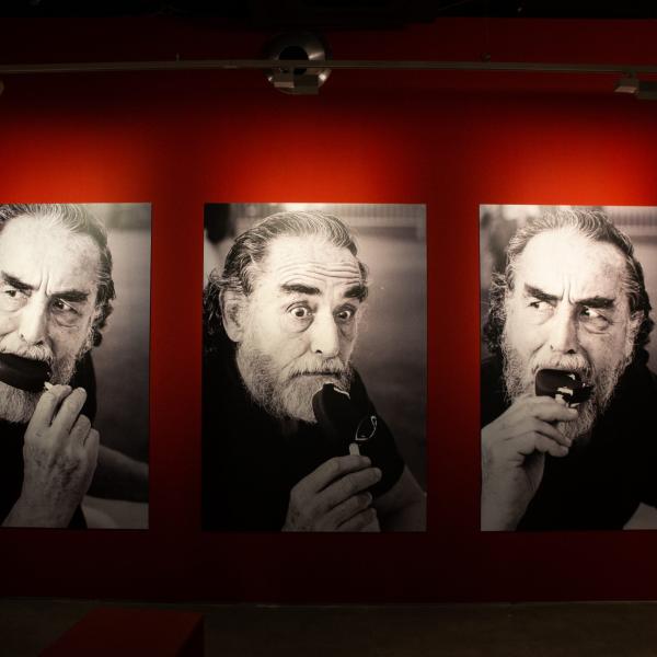 Vittorio Gassman mostra a Roma per celebrare il centenario