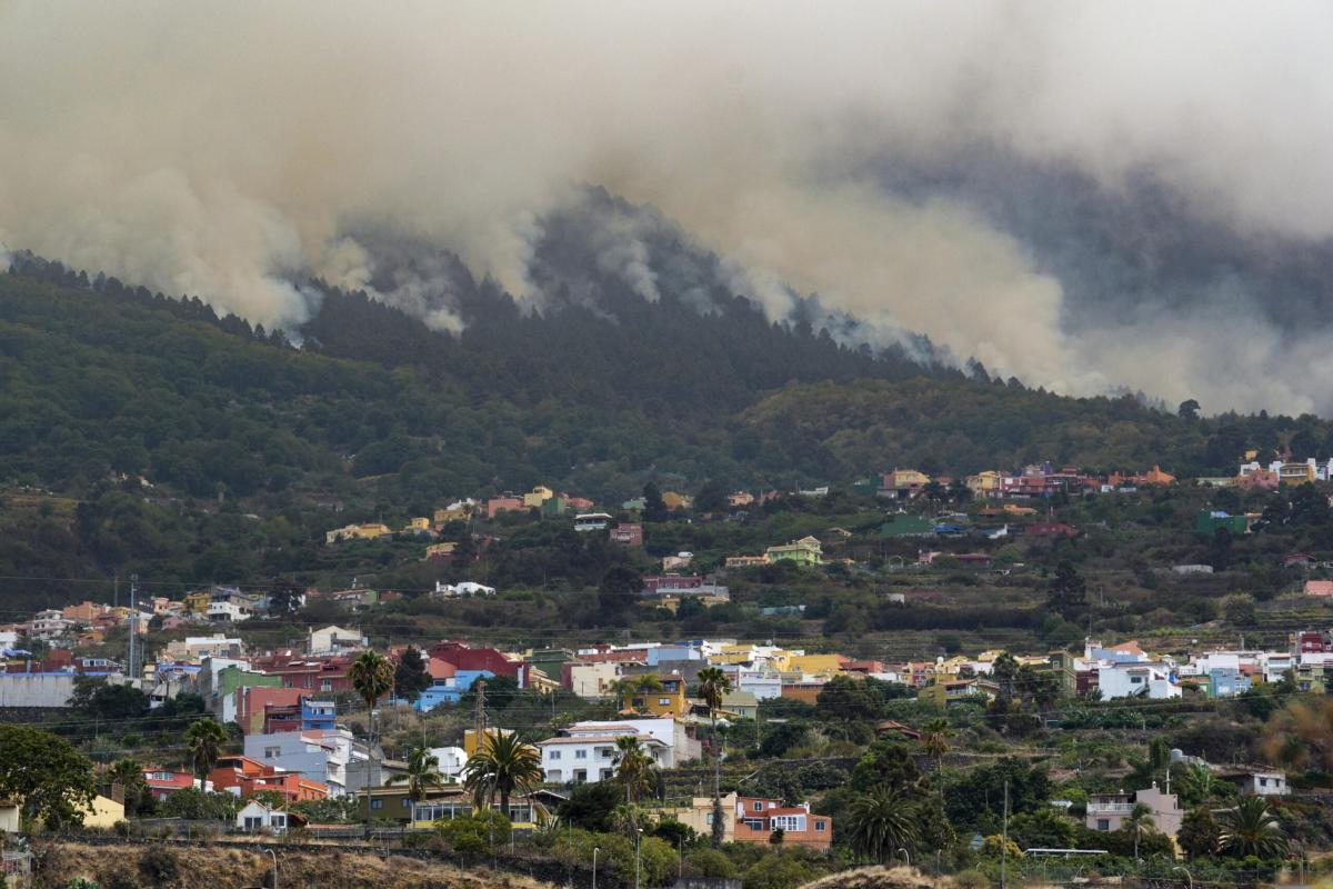 Tenerife, gli incendi preoccupano l’isola principale dell’arcipelag…