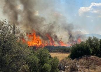 Grecia, 64 incendi in 24 ore: un morto