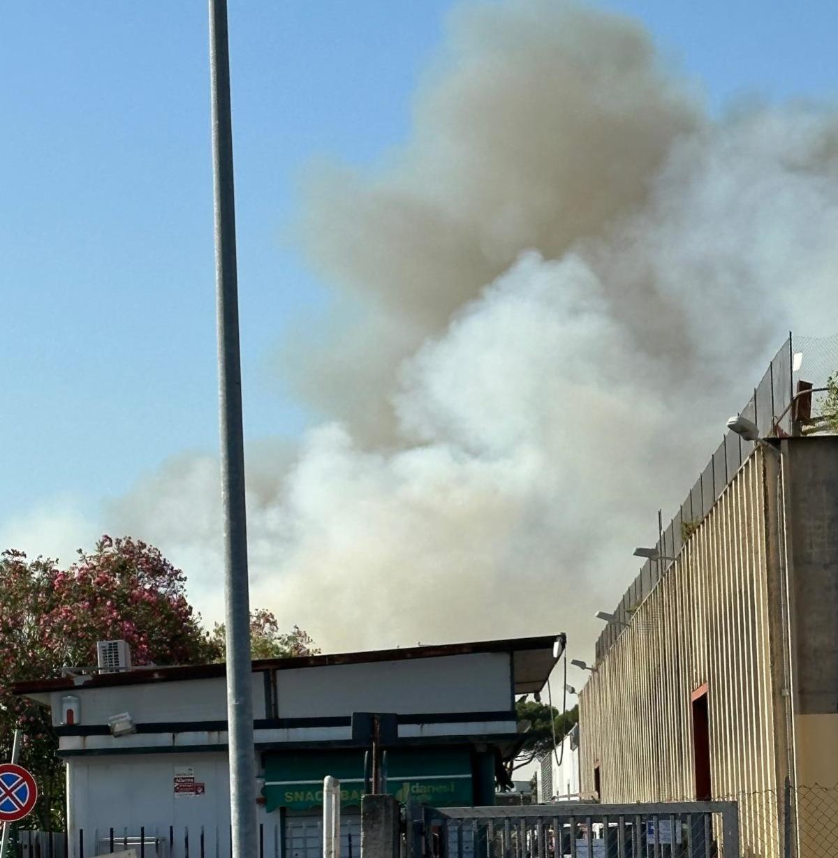 Roma, scoppia un incendio all’altezza dell’uscita A13 del Raccordo: colonna di fumo visibile da lontano| FOTO