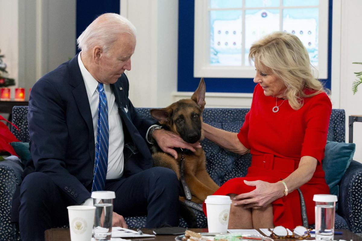 USA, il cane del presidente Biden allontanato dalla Casa Bianca: “C…