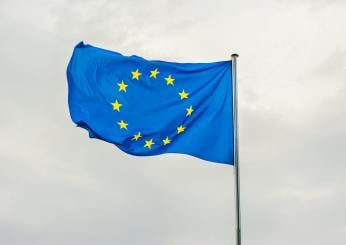 Elezioni europee 2024: guida al voto per i casi particolari