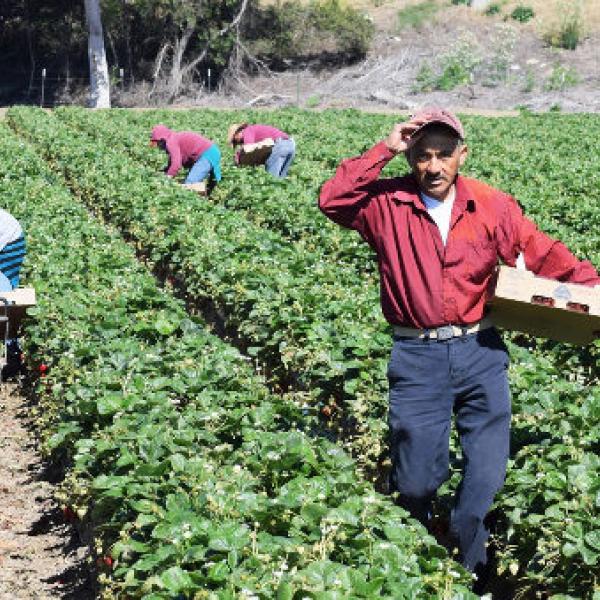 Esclusiva – Immigrazione in Italia. La Cgil contro il Governo: “Daremo Battaglia”