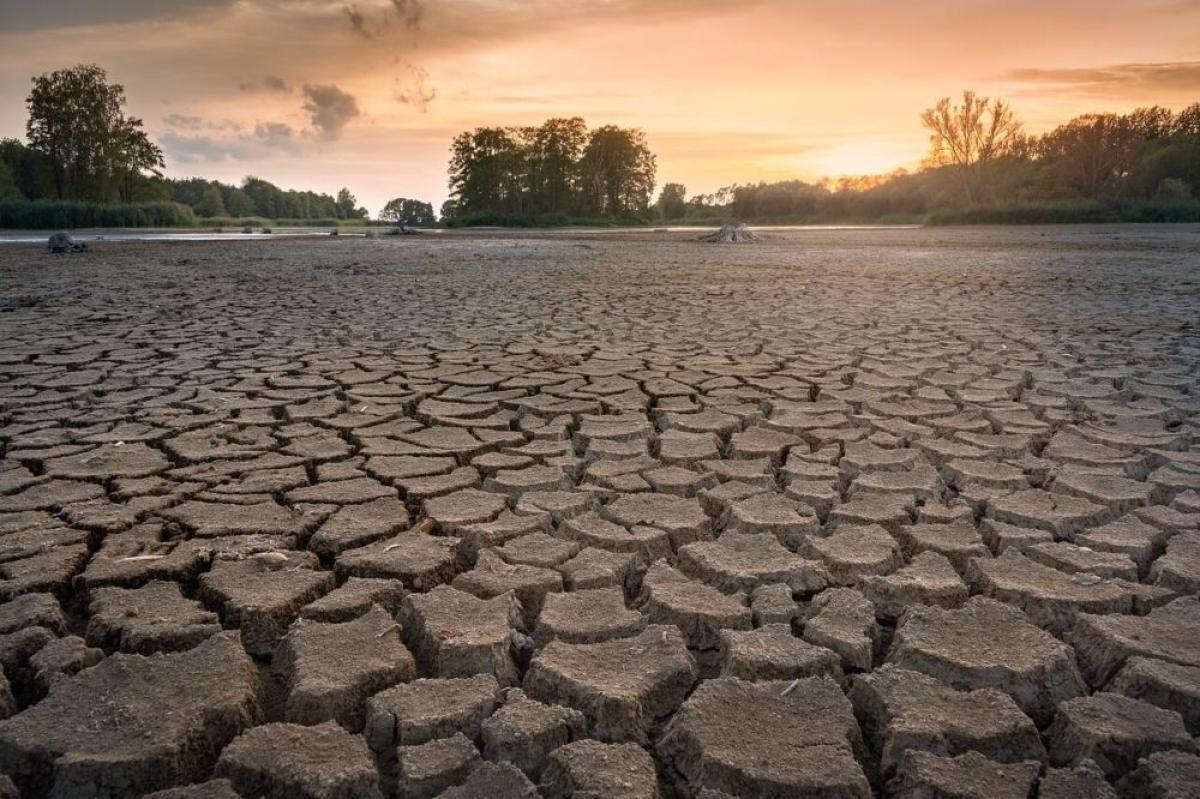 Crisi climatica, da Greenpeace 8 proposte contro la siccità