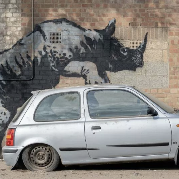 London Zoo di Banksy continua: spunta un rinoceronte ma è stato vandalizzato | FOTO