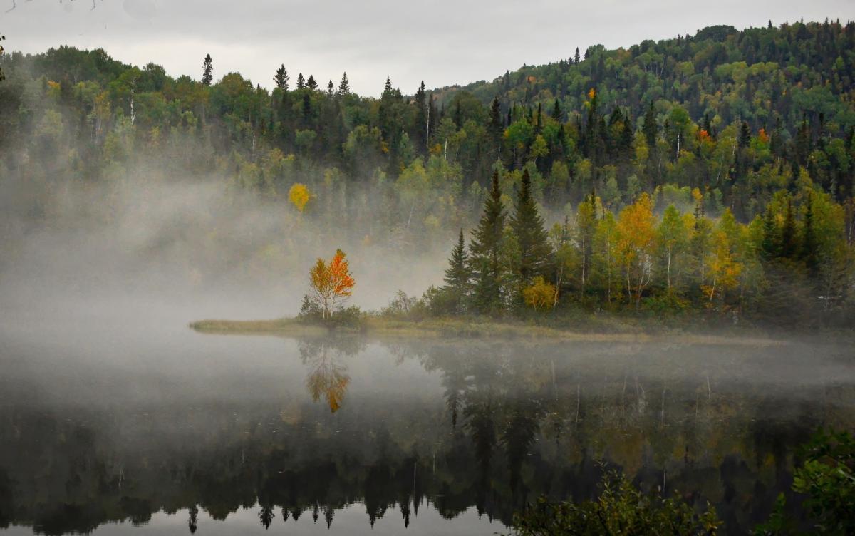 Bruciano le foreste, dichiarato stato d’emergenza in Alberta