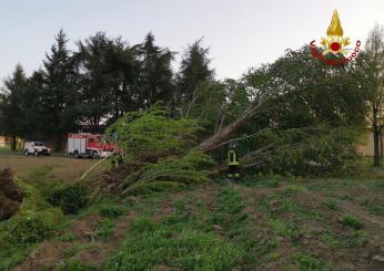 Maltempo, violenta tromba d’aria a Bologna e grandine improvvisa in…