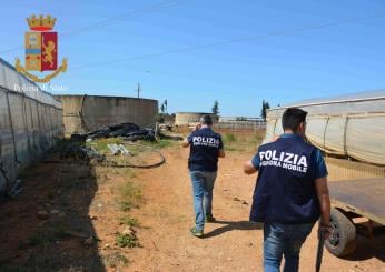 Benevento, arrestato 40enne per furto in un deposito agricolo a Castelfranci