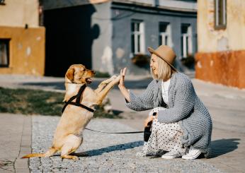 Qual è il miglior cane da tenere in casa? Tutto ciò che c’è da sapere prima di adottare