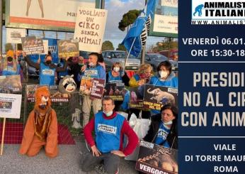 Roma, la Manifestazione di protesta dell’Associazione Animalisti Italiani all’esterno del Circo Orfei il 6 Gennaio