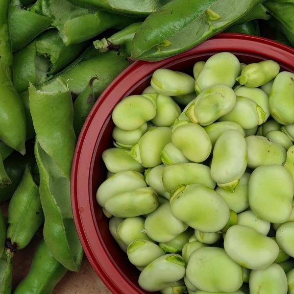 Pranzo Domenica delle Palme: primo alle crema di fave facile e gustoso