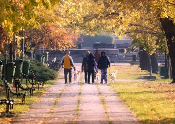 In pensioni con Ape sociale o Quota 41: cosa conviene? Una fortuna inaspettata per chi sceglie questa misura  