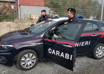 Calci e pugni al padre anziano e invalido, arrestato un 50enne a Ciampino