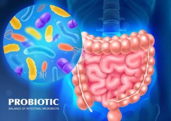 Probiotici, cosa sono e a cosa servono? Qual è la differenza tra fermenti lattici e probiotici? In quali alimenti sono contenuti?