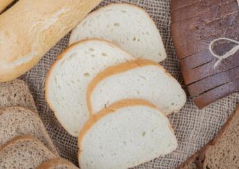 Mangiare pane bianco ad ogni pasto fa male alla salute, ecco perché e cosa rischi