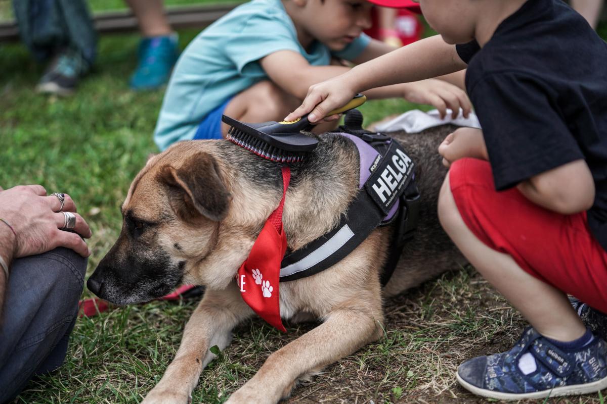 Vivere con animali domestici riduce le allergie nei bambini: il nuo…