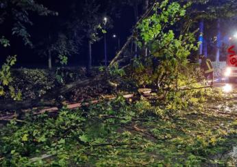 Maltempo in Friuli Venezia Giulia, vento fino a 130 km orari: danni in quasi tutta la regione |FOTO E VIDEO