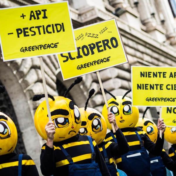 Legge sui pesticidi Ue, cosa prevede e perché è stata ritirata