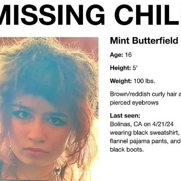 Usa, scomparsa la 16enne Mint Butterfield: è la figlia di due miliardari della Silicon Valley