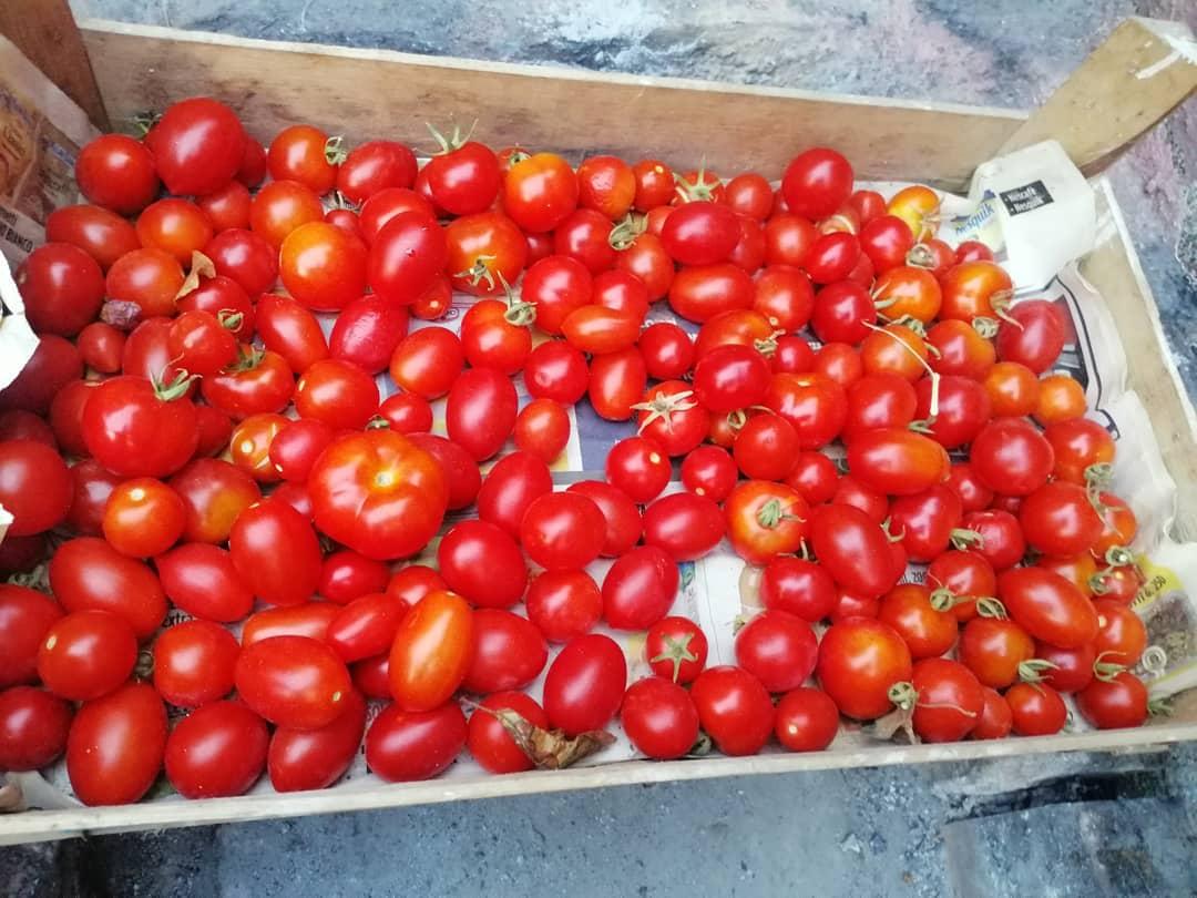 Pomodori: i benefici e perché mangiarli