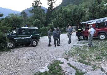 Shock in Trentino, turista straniero aggredito e ferito da un orso a Dro: è ricoverato in ospedale