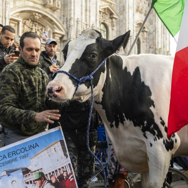 Esenzione Irpef terreni agricoli? Il Governo si arrende e pensa ad una proroga. Emendamenti anche da Lega, FI, Pd e Iv