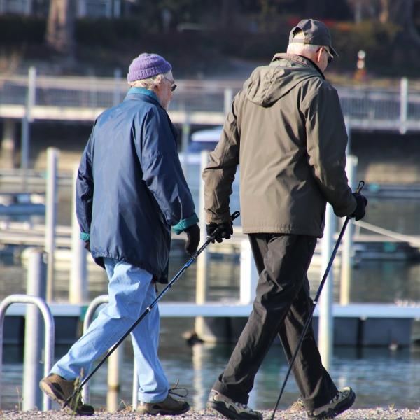 Pensione: chi deve aspettare 71 anni di età per ritirarsi dal lavoro? Aspettative e realtà della previdenza sociale