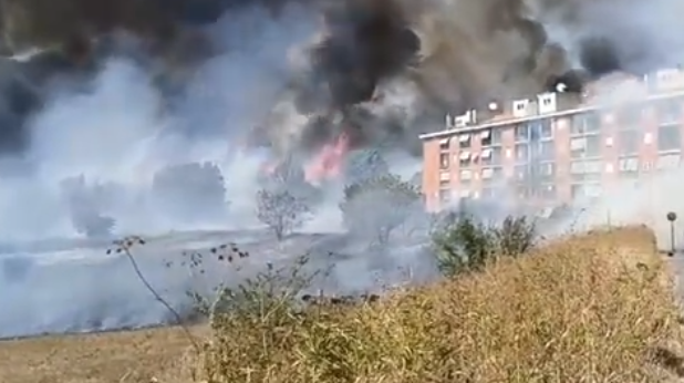 Roma, incendio in zona Settecamini: sterpaglie e rifiuti bruciati, Crimeni (pres. comitato di quartiere): “Abbiamo denunciato più volte. Mai ascoltati” | VIDEO