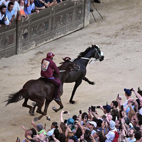 Palio di Siena 2 luglio 2024: dove vederlo in tv e in streaming. Orari, fantini, contrade e programma della tradizionale competizione toscana