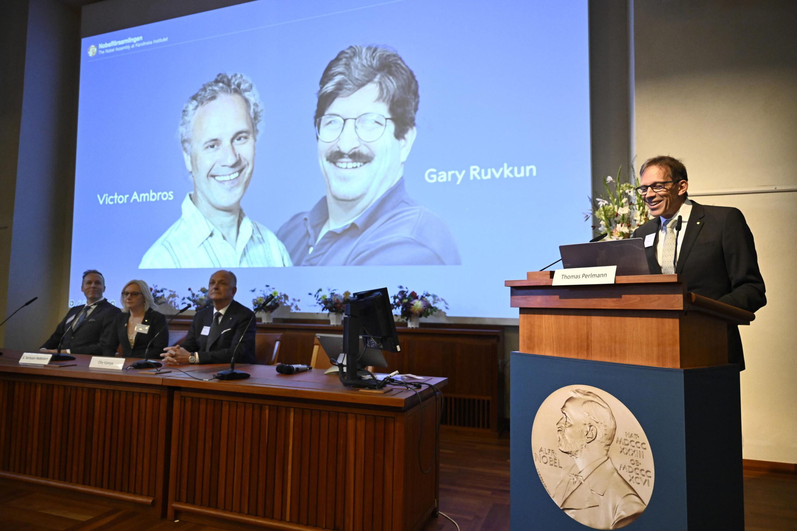 Chi sono Victor Ambros e Gary Ruvkun e perché hanno vinto il premio Nobel per la medicina 2024