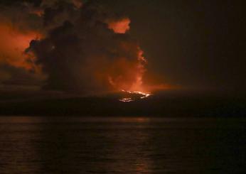 Galapagos, erutta il vulcano La Cumbre: diverse specie di animali a rischio