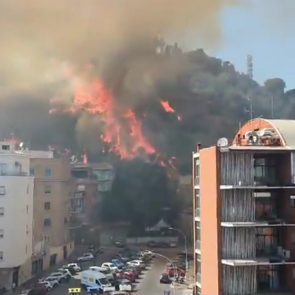 Roma, incendio sulla collina di Monte Mario: sindaco Gualtieri sul posto. I residenti: “Sembrava l’11 settembre”| VIDEO