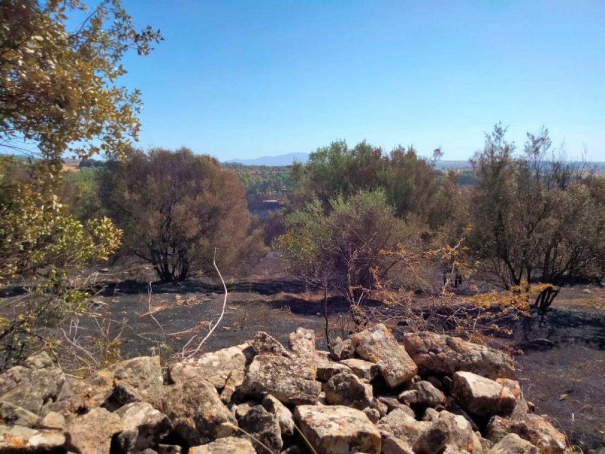 Incendio a Burcei in Sardegna, ettari di macchia mediterranea in fumo