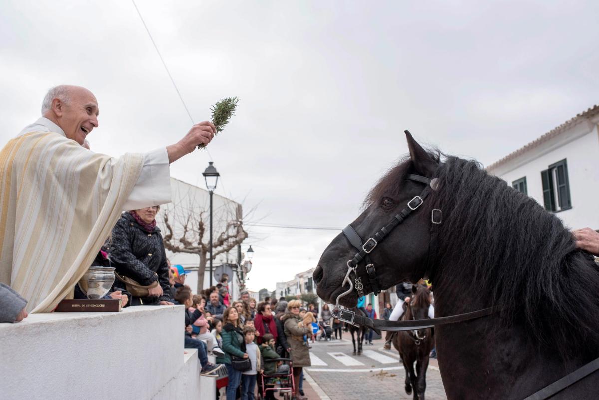 S. Antonio, domani animali a S. Pietro per la benedizione