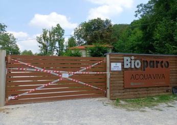 Chi è Anisa Murati, la bambina di 7 anni annegata al bioparco di Caraglio? La Procura di Cuneo apre un fascicolo per omicidio colposo