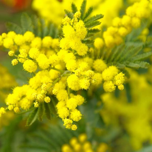 Auguri alla figlia per la festa della donna: le frasi più belle da dedicare alla propria bambina o ragazza