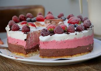 Torta gelato fatta in casa: buonissima e super fresca