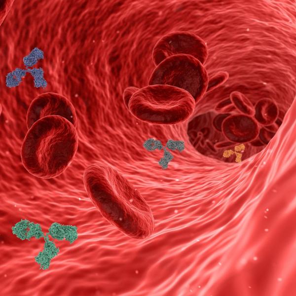 Anticorpi monoclonali, come funzionano a scopo terapeutico e per quali malattie sono stati approvati