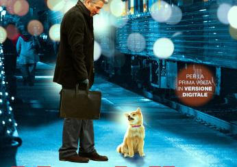 Hachiko torna al cinema il 13 dicembre: il cane che ci ha stretto i…