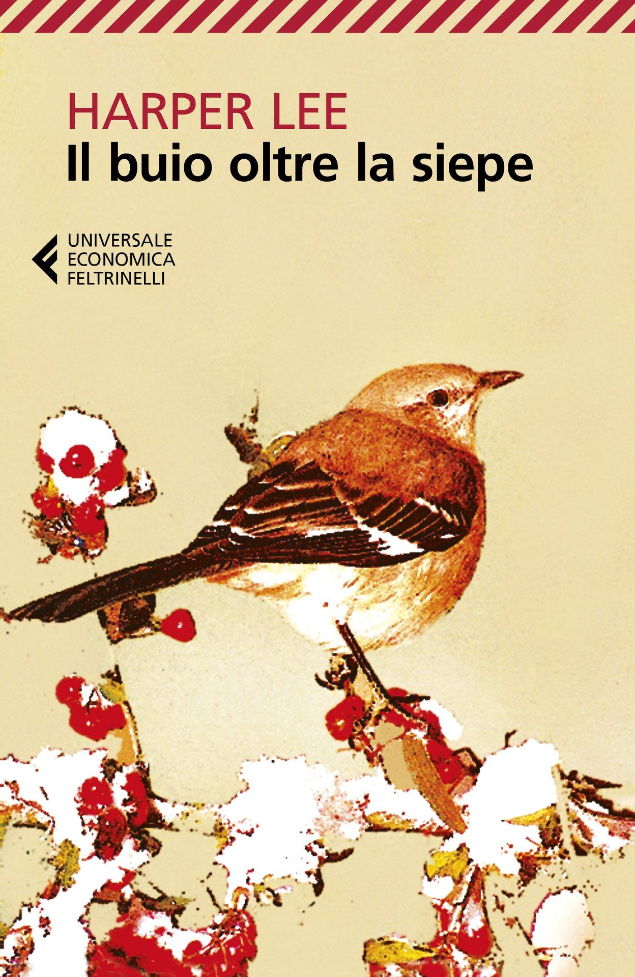 Perché Il buio oltre la siepe si chiama così? Un romanzo di formazione sui pregiudizi, il razzismo e la paura