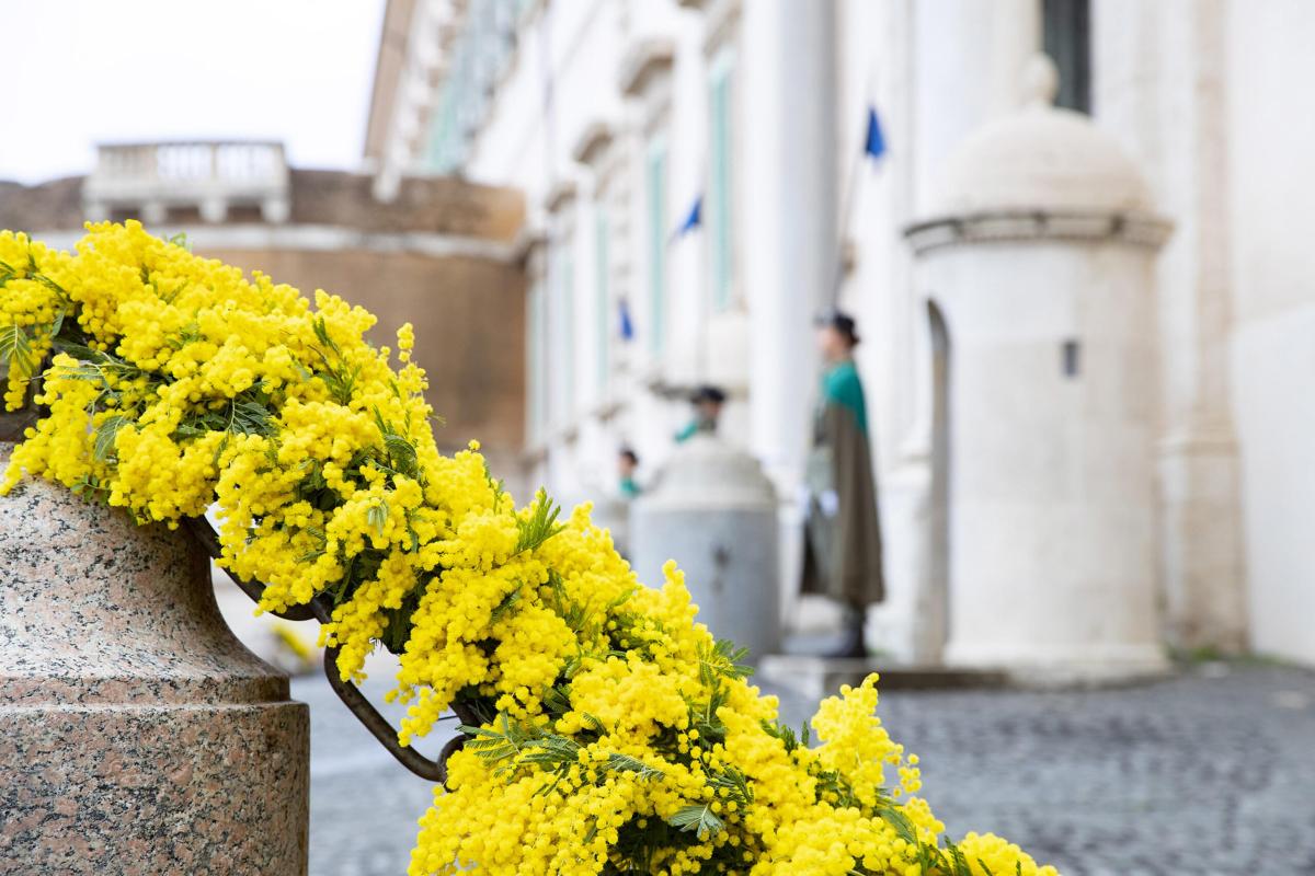 8 marzo, Mattarella celebra Festa della Donna: “Lavorare per diffon…