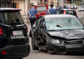 Angelika Hutter, chi è la donna arrestata per aver provocato l’inci…